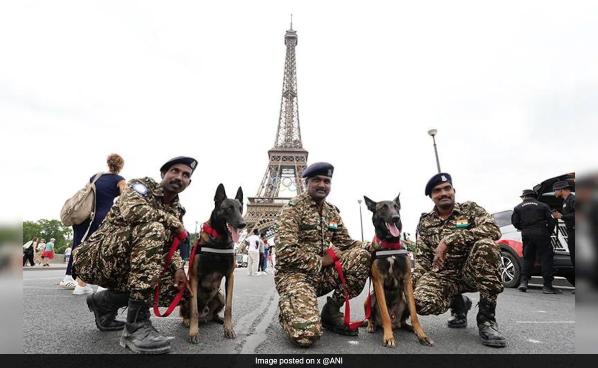 Olympics elite canine guardians indias k9 squad bolsters paris olympics security 2024 07 22 19 19 59